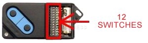 Remote: FAAC 433DS-2 with 2 buttons