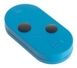 Came TOPD 2FBS Gate remote control 2 buttons multiple - Remote Control Express