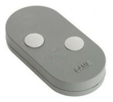 Came TOPD 2RGS Gate remote control 2 buttons multiple - Remote Control Express