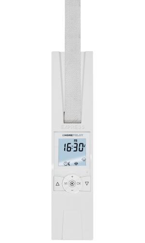 Remote homepilot 10182360