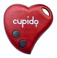 Beninca CUPIDO 2 Gate remote control 2 buttons 433.92 MHz - Remote Control Express